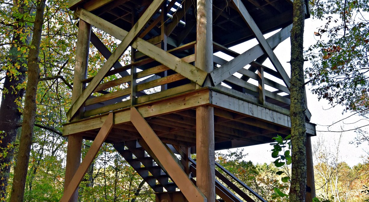 A photograph of a tall wooden observation tower at the edge of the woods.