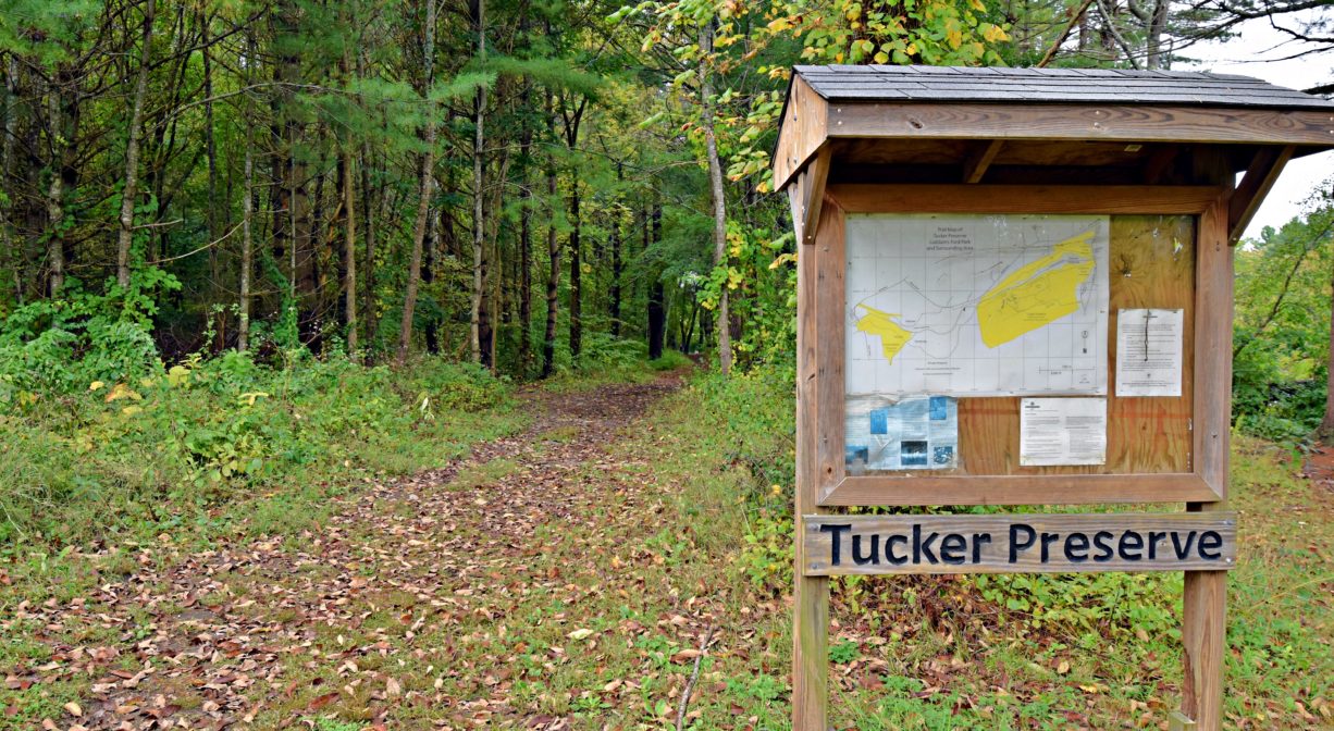 A photograph of an informational kiosk at a trailhead with a trail and a forest in the background.