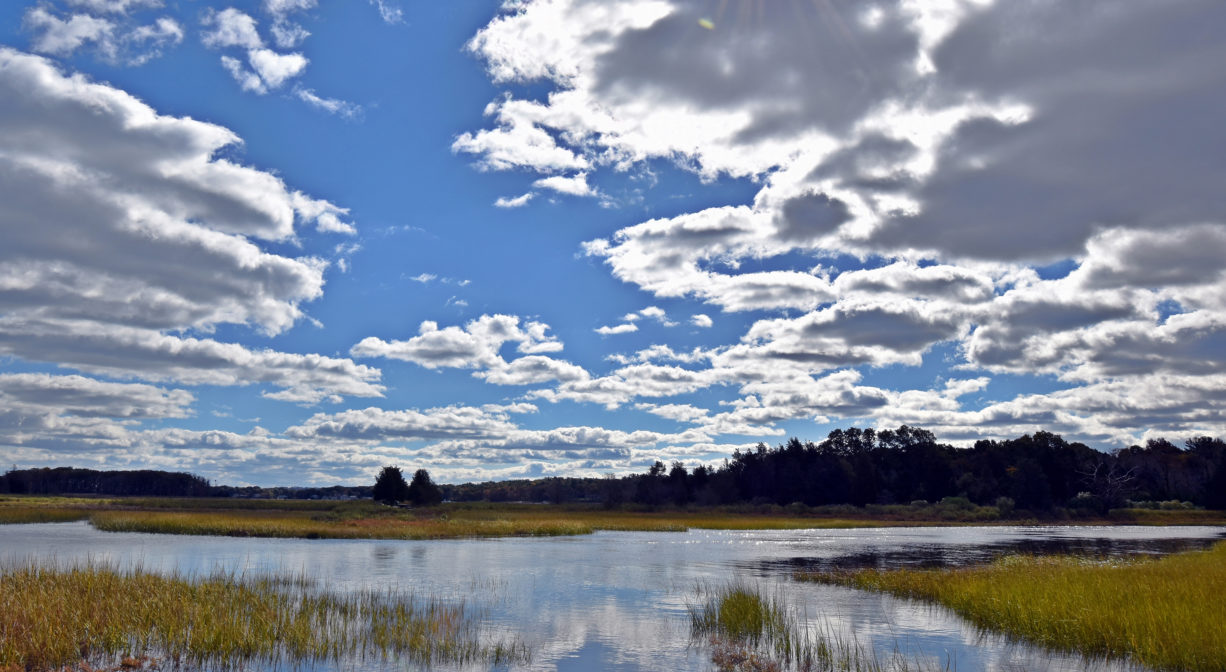 Photograph of high tide in a salt marsh with cloudy blue skies reflecting in the water.