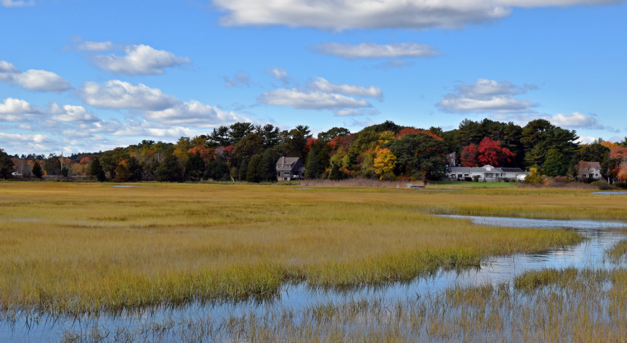 Photograph of high tide in the salt marsh with trees and fall foliage in the background and blue skies.