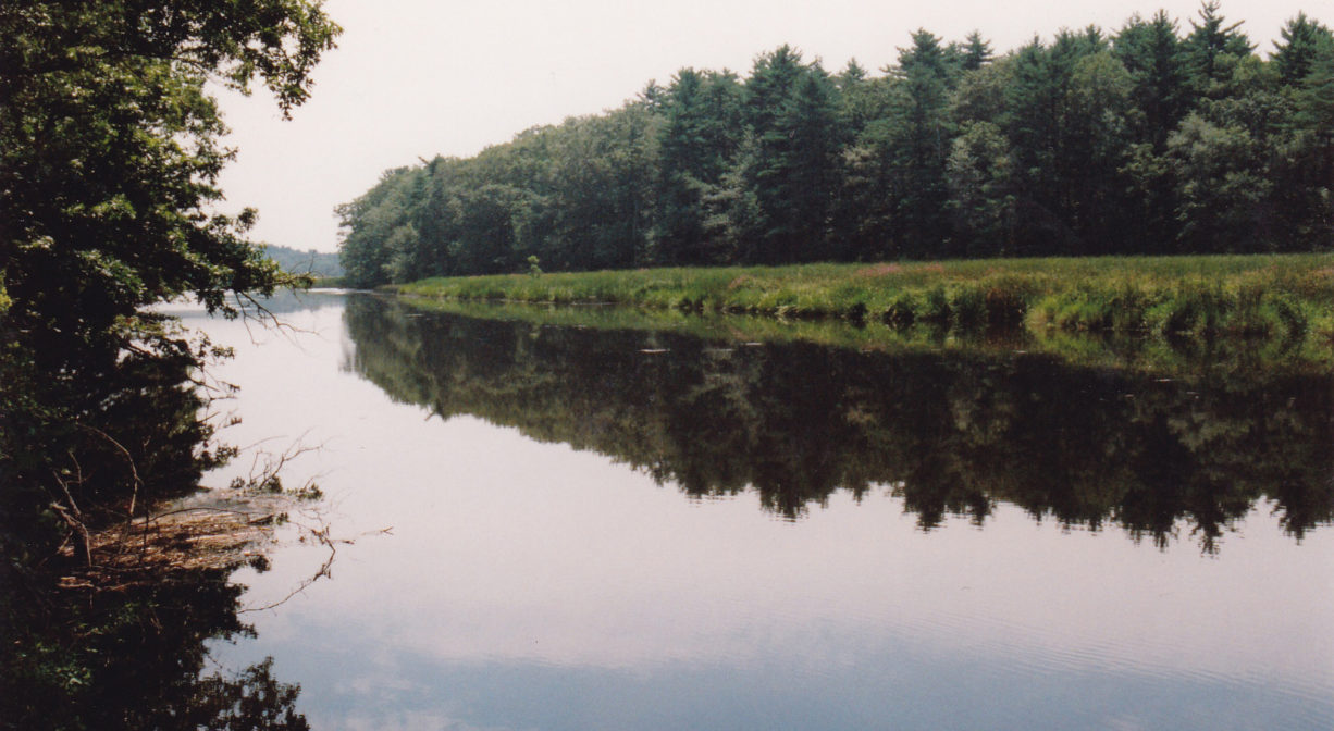 A photograph of a river with marsh and forest in the distance.