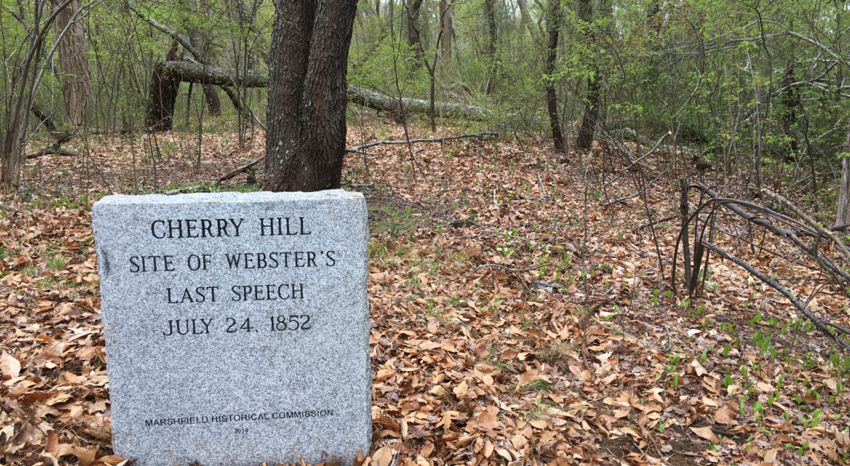 A photograph of a historic marker in a forest.