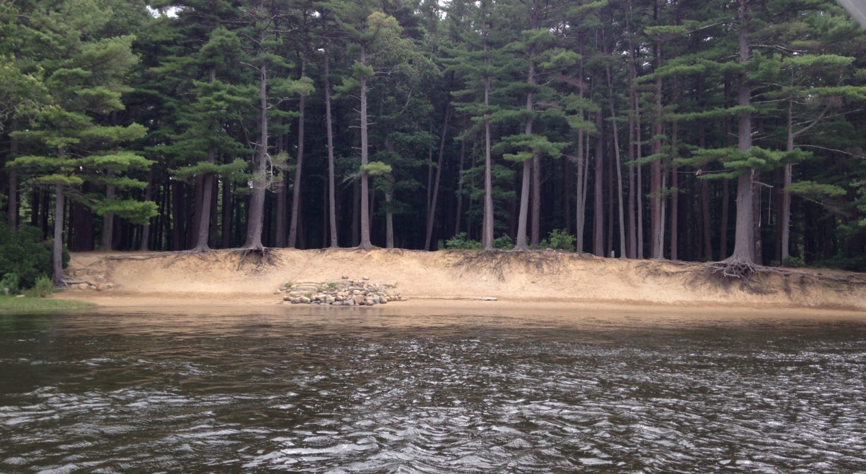 A photograph of a forest with a sandy beach, on a river, viewed from the water.