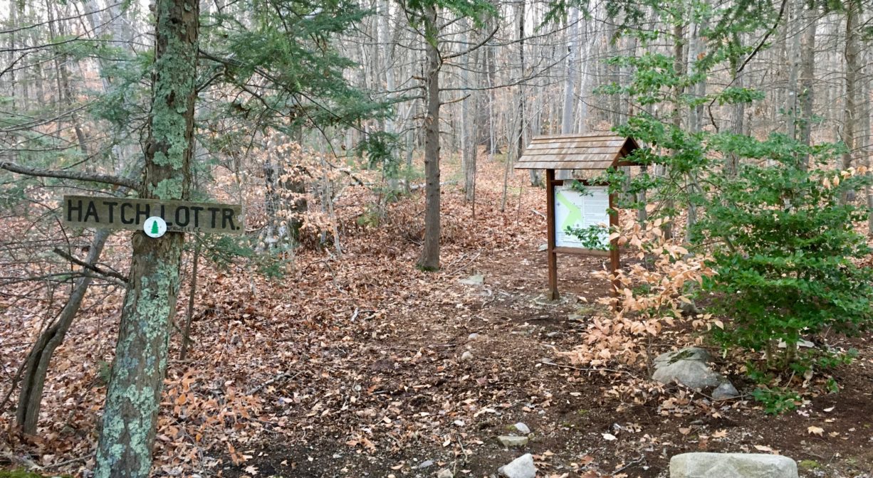 A photograph of a secondary entrance to a woodland property.