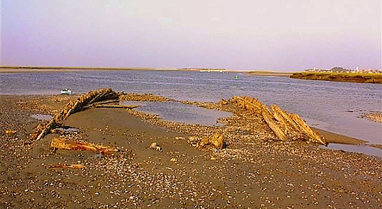 A photograph of the remains of a ship on the banks of a river.