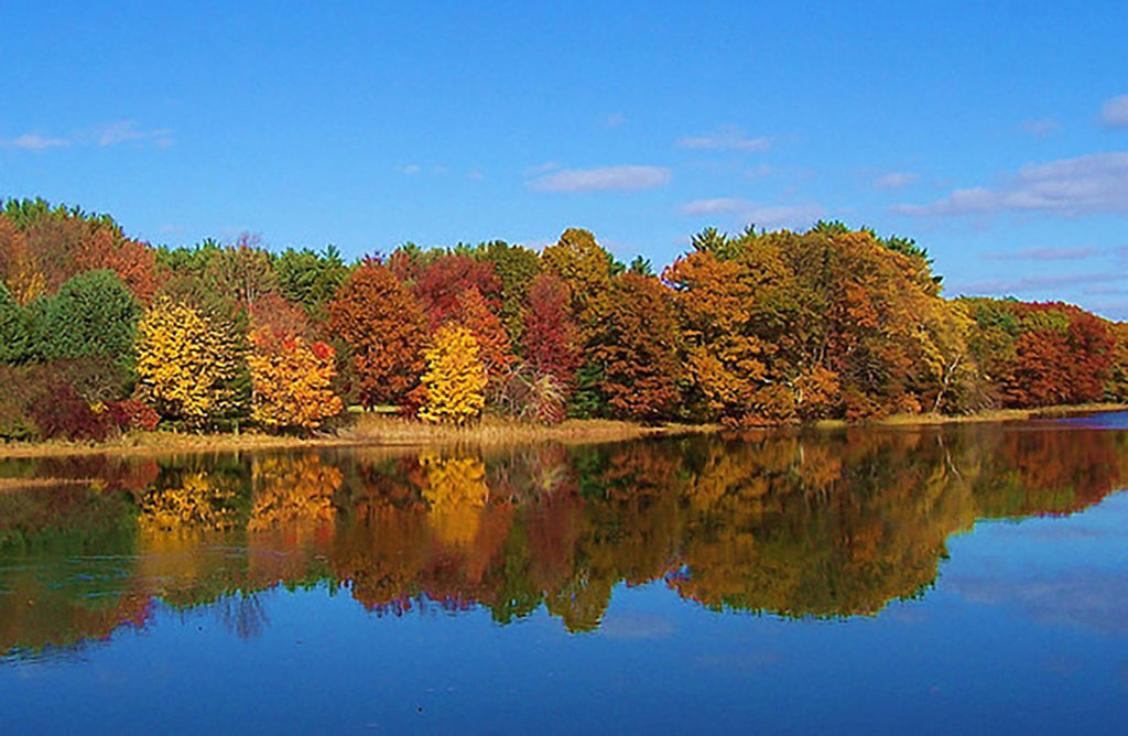 Historic Fall Foliage Pontoon Tour (Sunset) - North and South Rivers ...