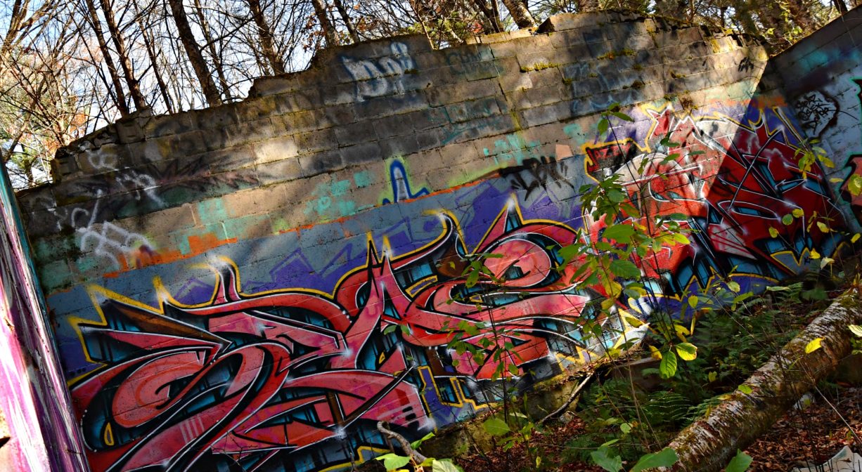 Photograph of old concrete structure with colorful graffiti in a forest setting.