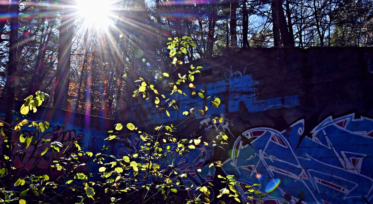 Photograph with a bright sun in the background and blue graffiti on a concrete structure in the foreground.