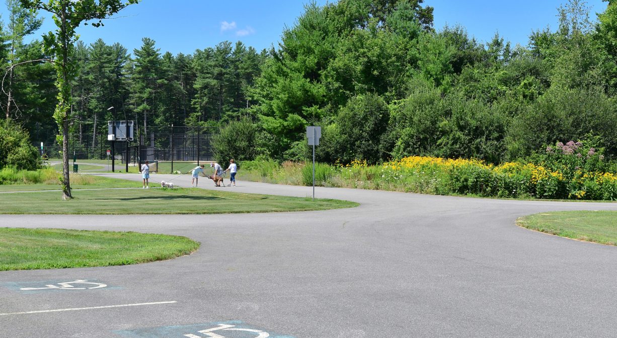 A photograph of a parking area and a paved trail, with pedestrians, within a grassy park.