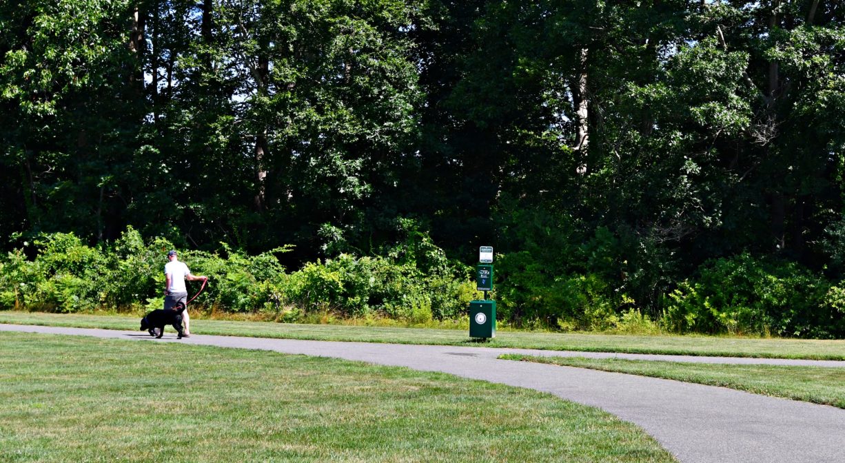 A photograph of an individual walking a dog on a paved path within a grassy park.