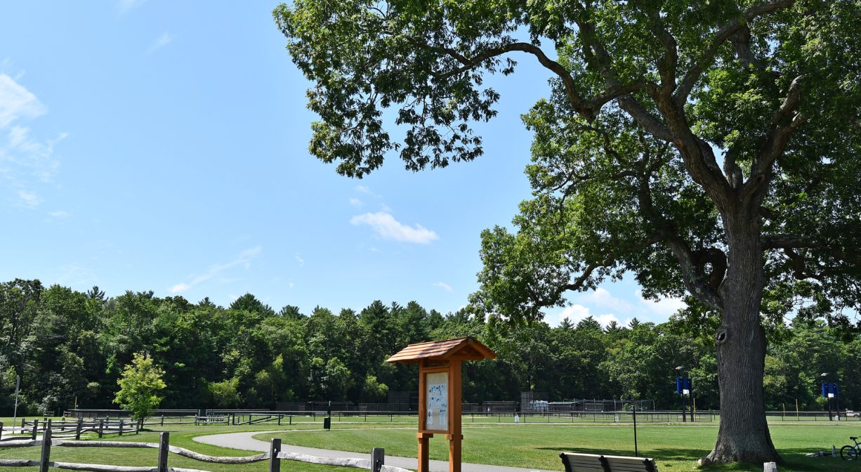 A photograph of an informational kiosk beside a trail, within a grassy park.