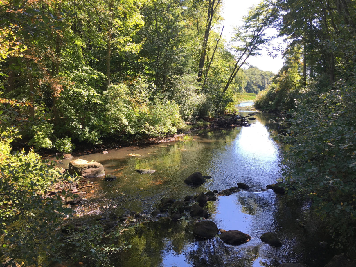 The Hidden Gems of Hanover’s Pond Park North and South Rivers
