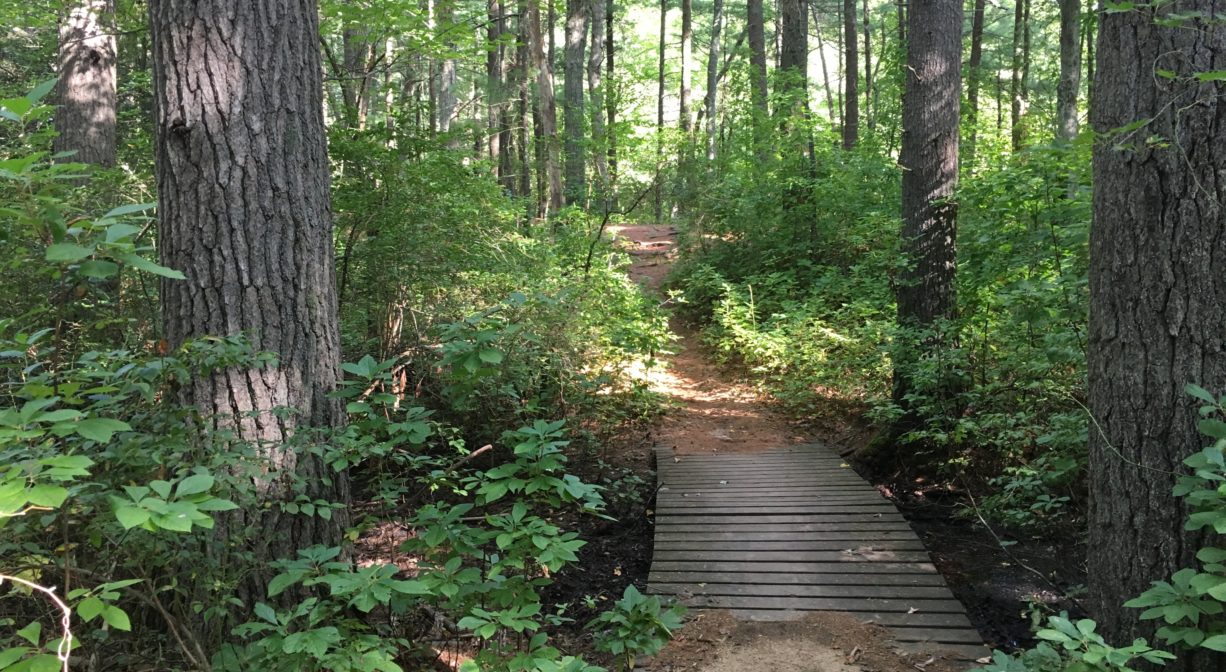 A photograph of a boardwalk and trail through the woods.