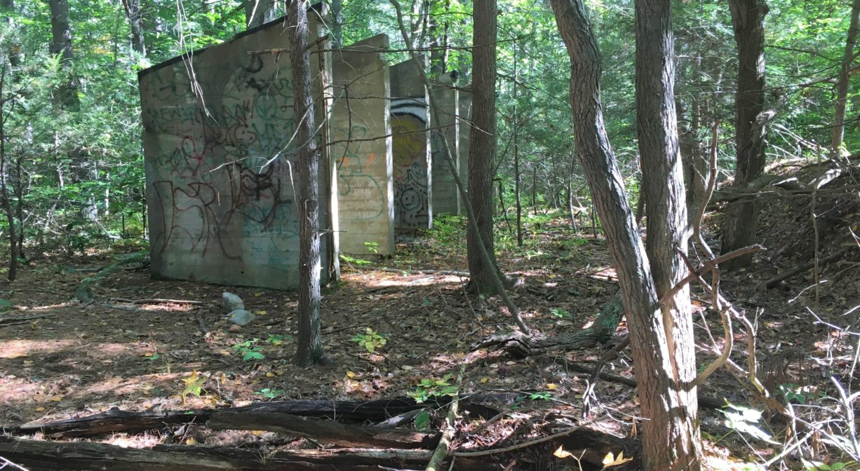 Photograph of an old concrete structure in the woods.