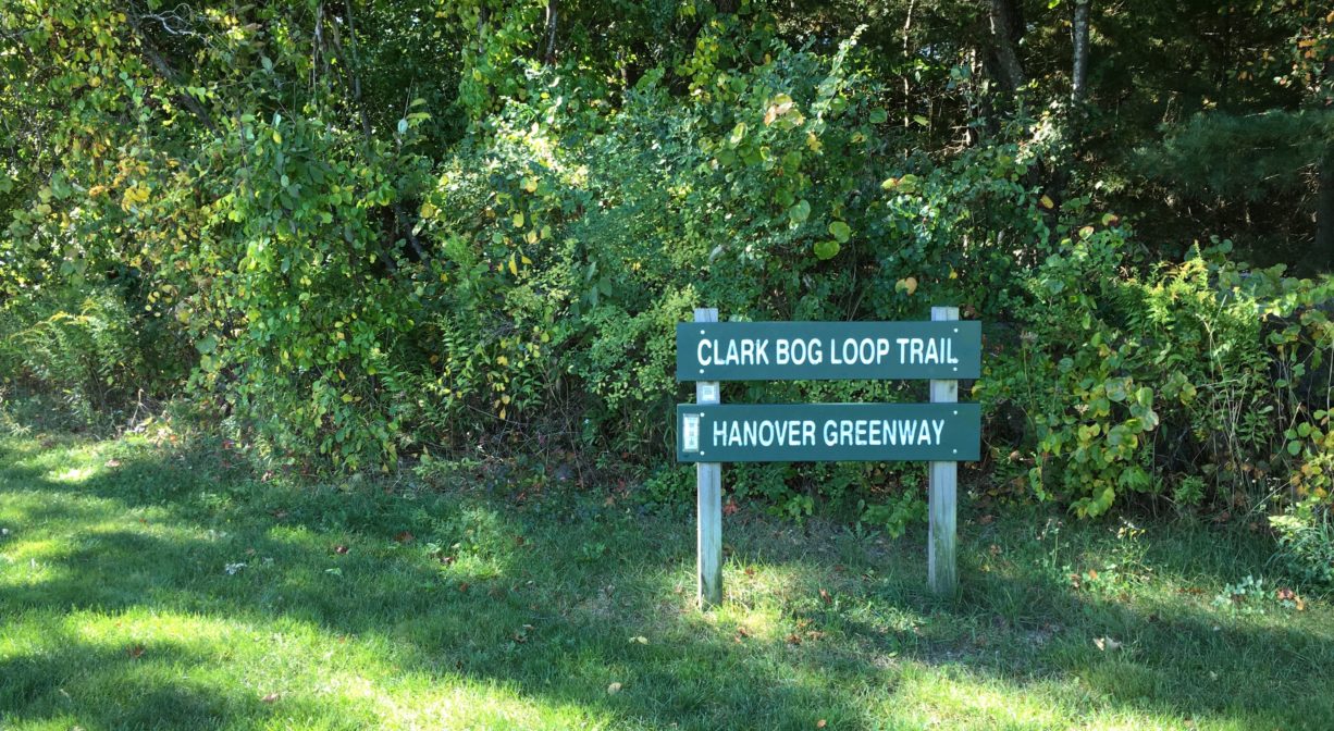 A photograph of a trail sign on grass beside a forest.