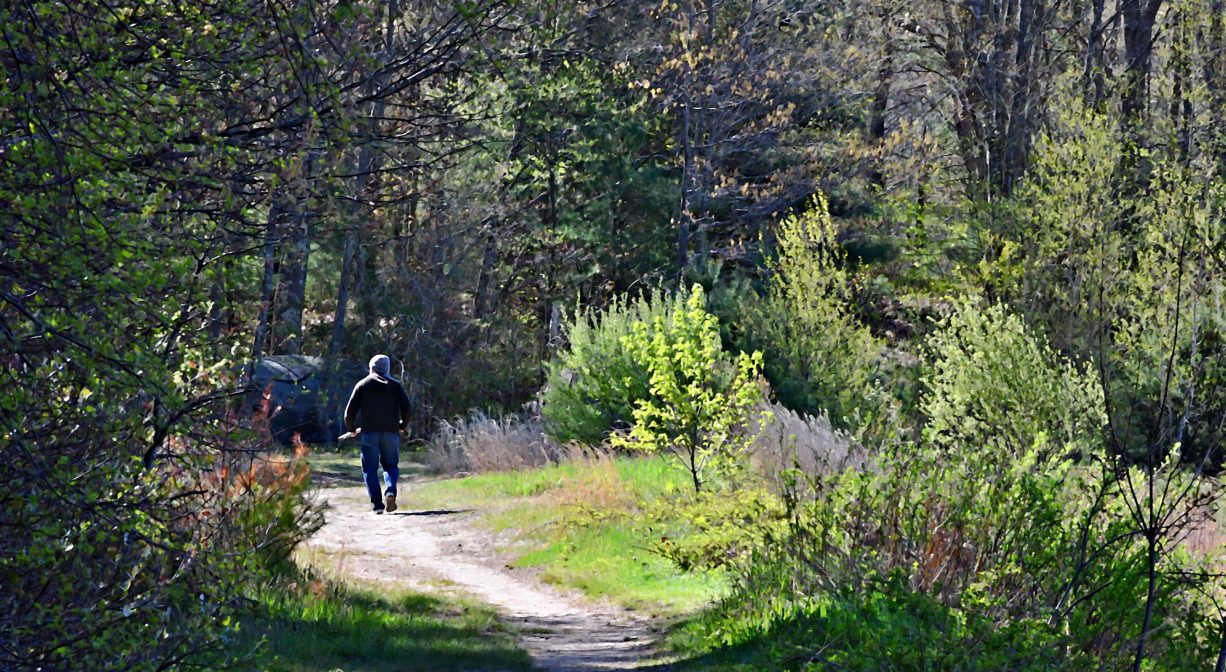 A photograph of an individual walking a trail.