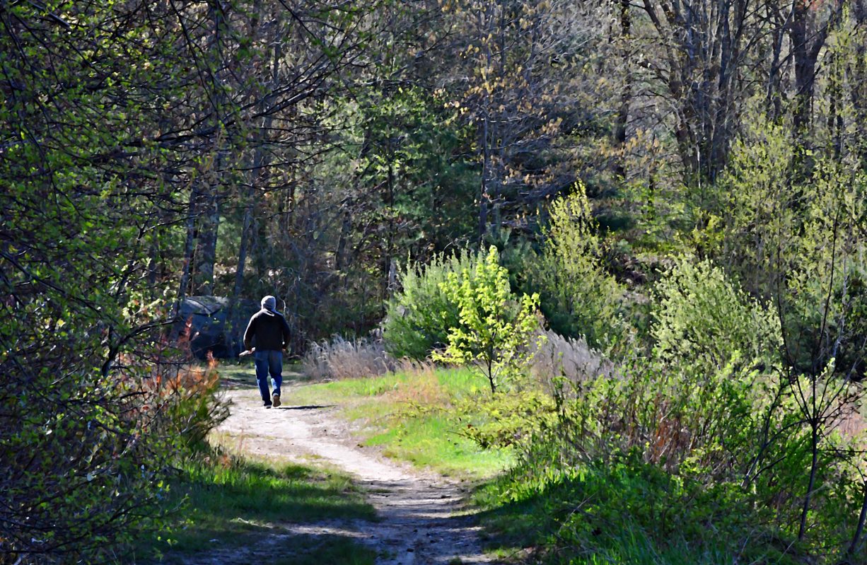 Maquan Pond and Cranberry Cove - North and South Rivers Watershed