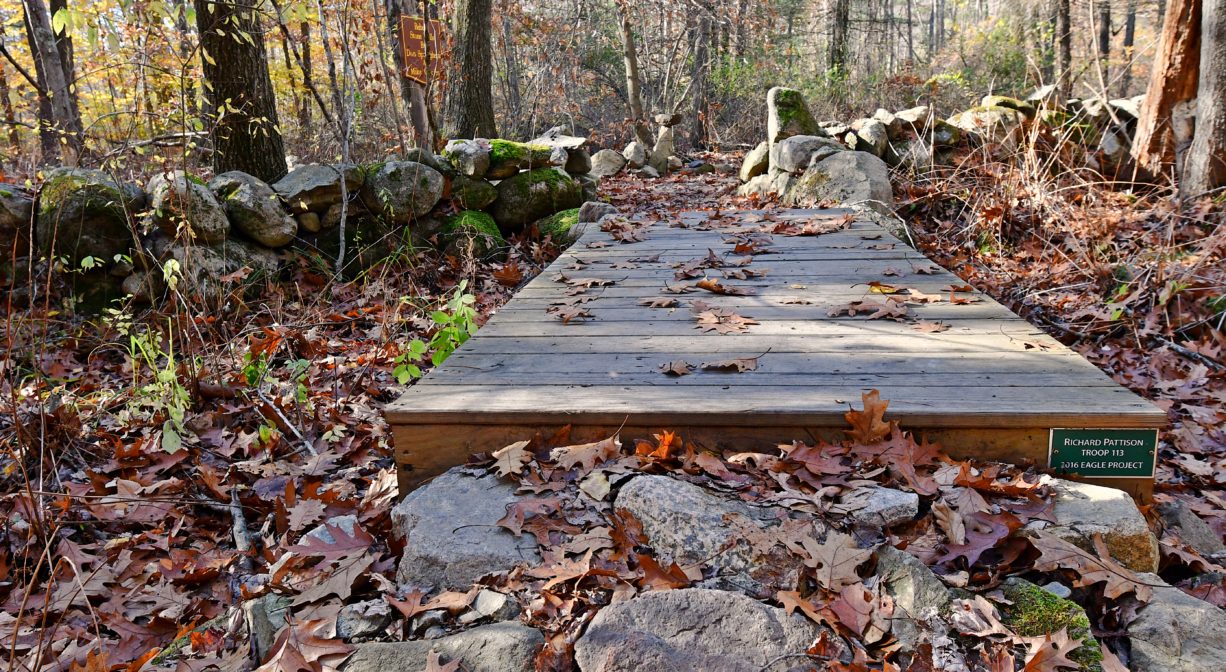 Photograph of boardwalk and stone wall in forest setting, with fall foliage.