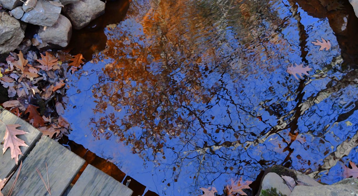 Photograph of stream and boardwalk with blue sky and fall foliage reflected on the surface of the water.