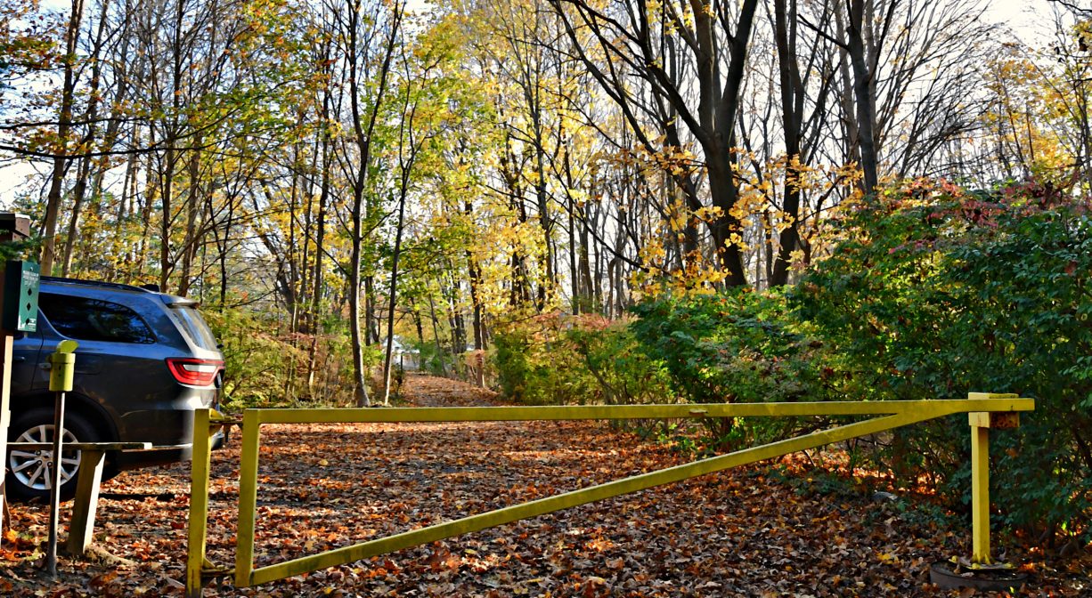 Photograph of yellow metal gate and parking area in forest setting.