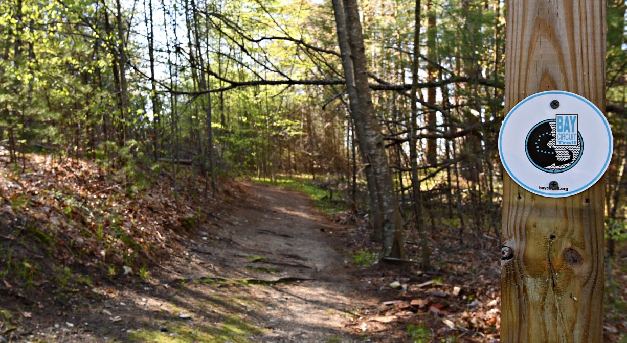 A photograph of a trail through the woods with a Bay Circuit Trail marker.
