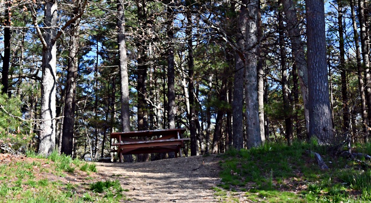 A photograph of a bench at the edge of a forested ridge.