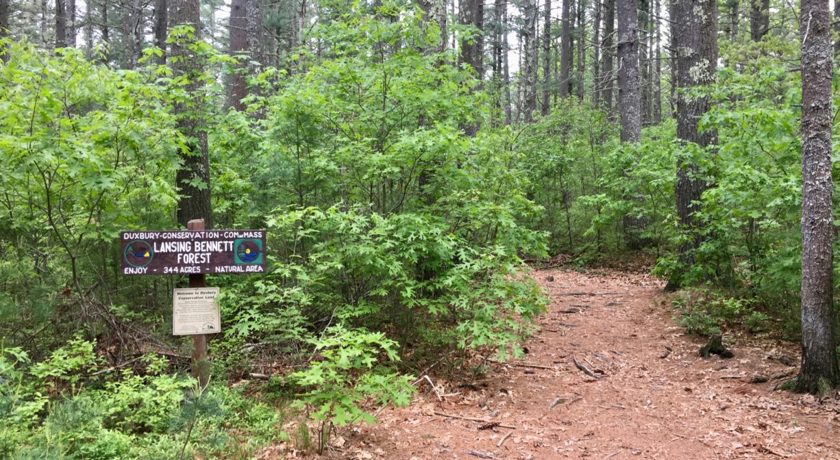 A photograph of a trailhead with a property sign, at the edge of the woods.