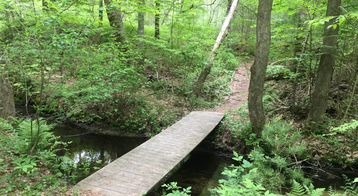A photograph of a wooden bridge crossing a stream, in the woods, with green foliage.