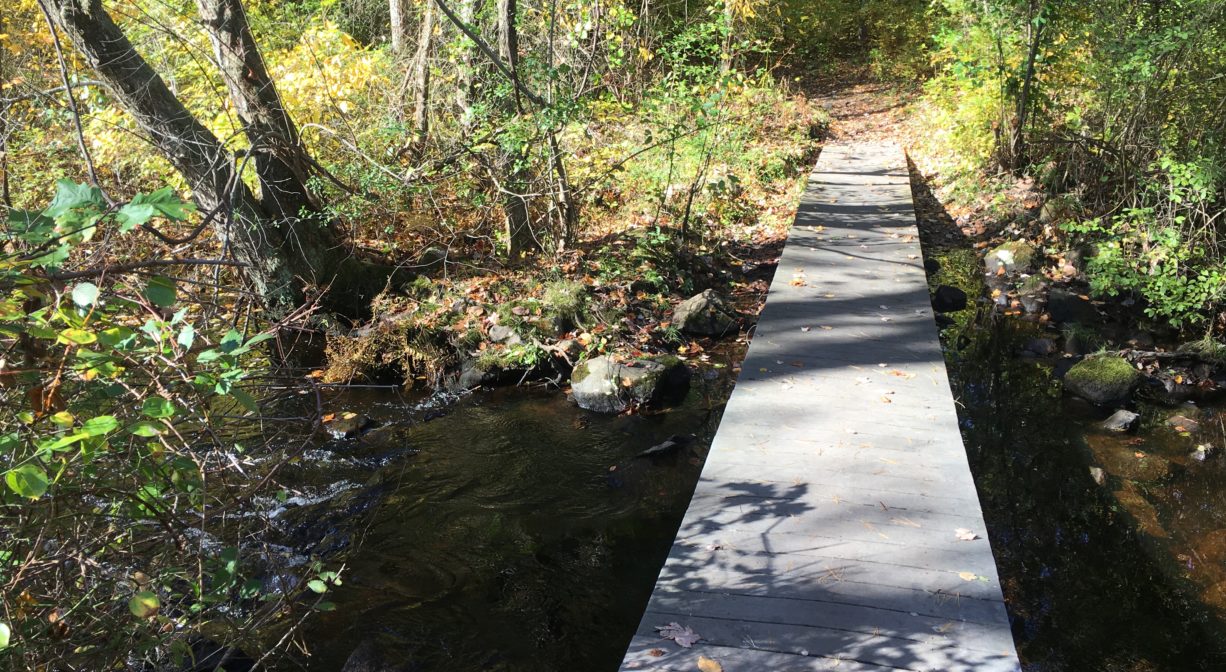A photograph of a bridge or boardwalk over a stream, in a forest.
