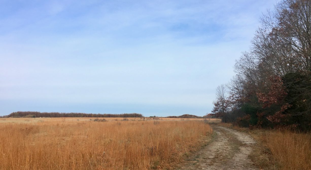 Photograph of a wide dirt trail through a golden meadow with blue skies and some trees along one side.