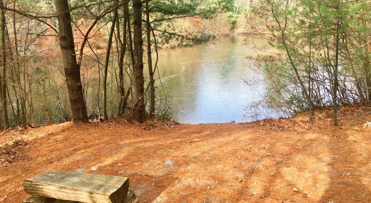 A small pond in a forest setting with a wooden bench in the foreground.