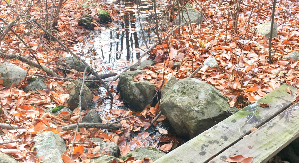 A photograph of a small stream with a wooden footbridge, plus rocks and fall foliage.