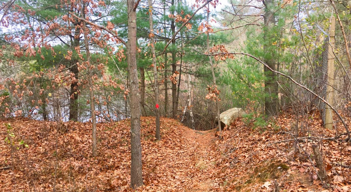A photograph of a trail through a forest in autumn with a pond in the distance.