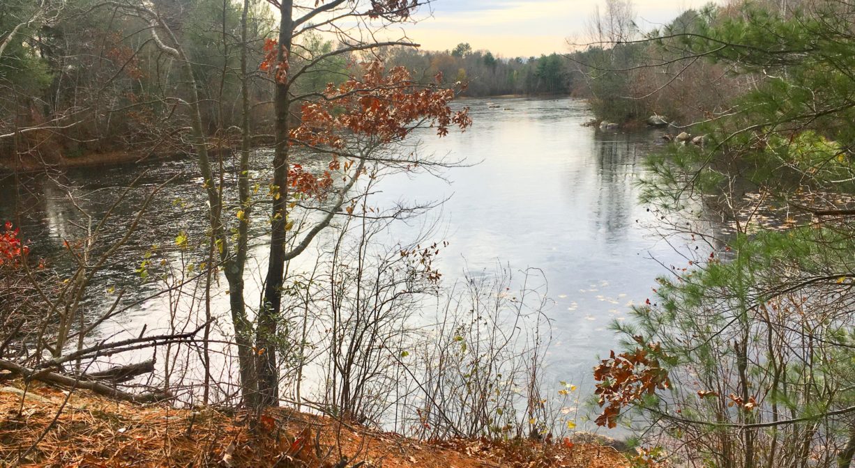 A photograph of a pond with fall colors.