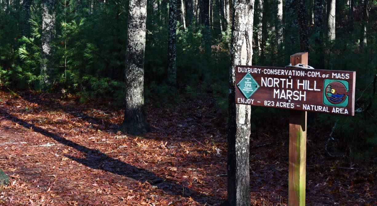 A photograph of a property sign beside a forest trail.