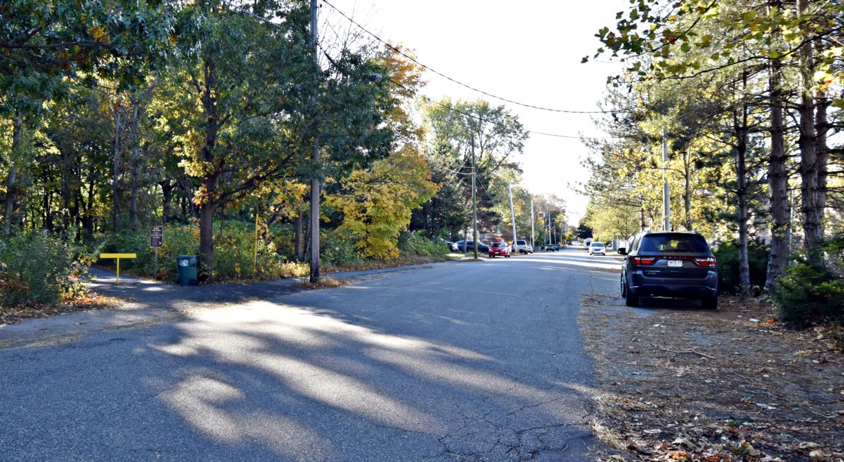 Photograph of roadside parking and trail access.