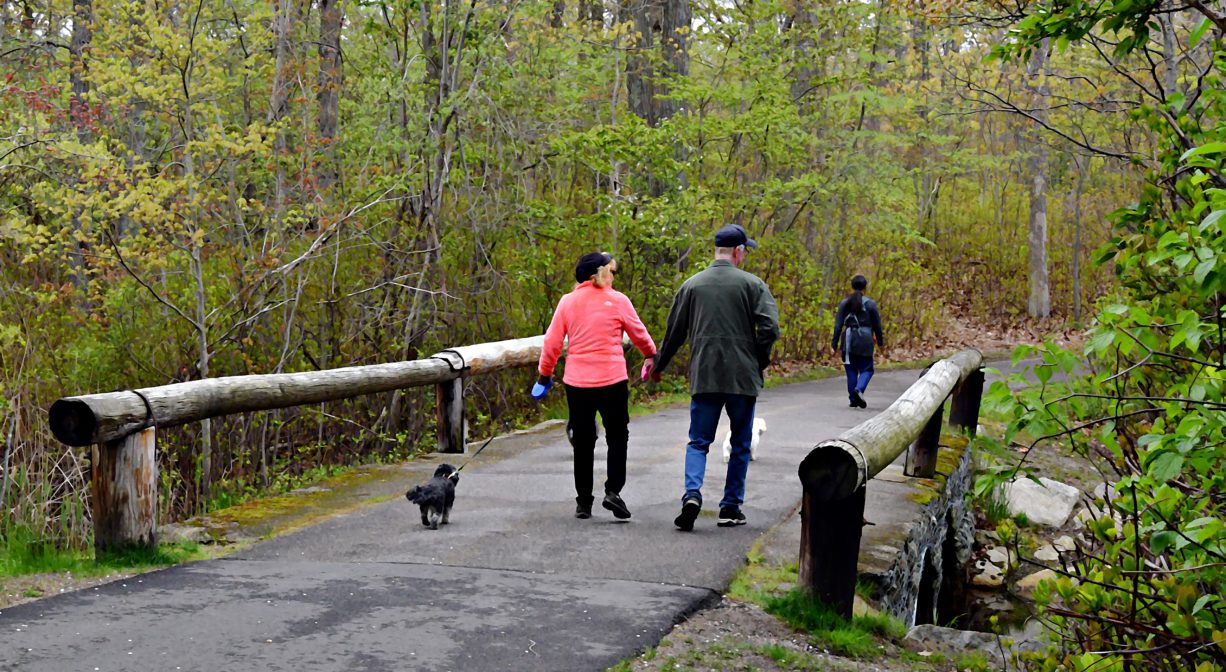 A photograph of a couple walking up a paved trail through a woodland.