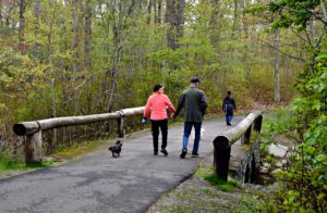 A photograph of a couple walking up a paved trail through a woodland.