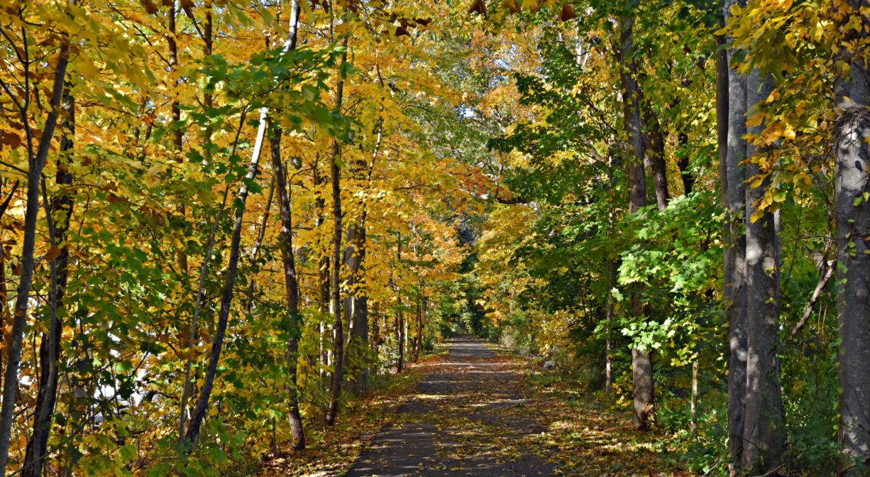 Rockland Rail Trail - North and South Rivers Watershed Association