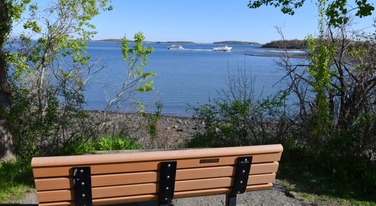 A photograph of a bench overlooking the water.