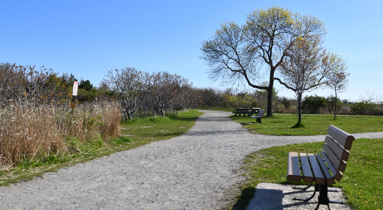 A photograph of a bench on the grass beside a gravel trail.
