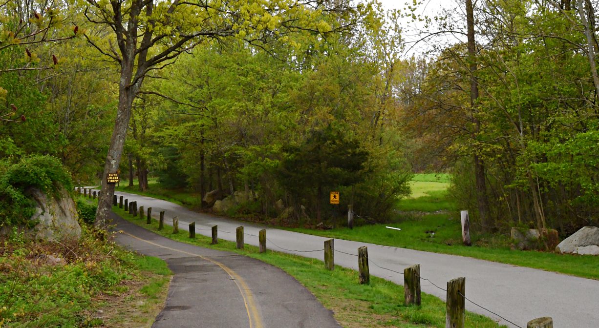 A photograph of a paved trail beside a roadway.
