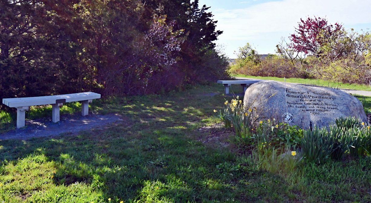 A photograph of a bench and a memorial stone with flowering trees and grass.