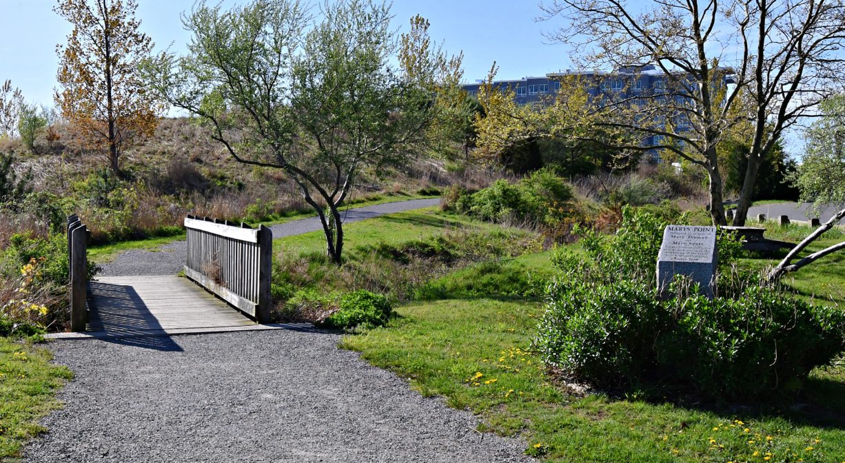 A photograph of a trail with a bridge through a grassy area with ornamental trees.