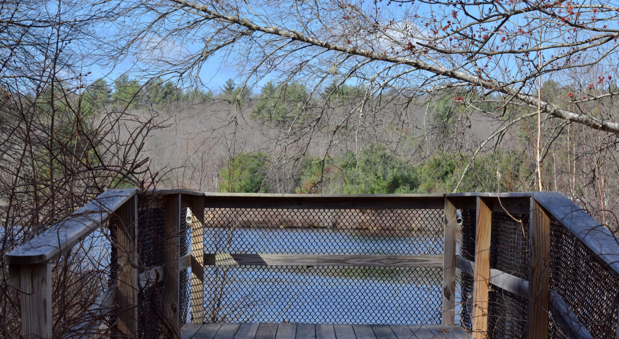 A photograph of an observation platform beside a pond.