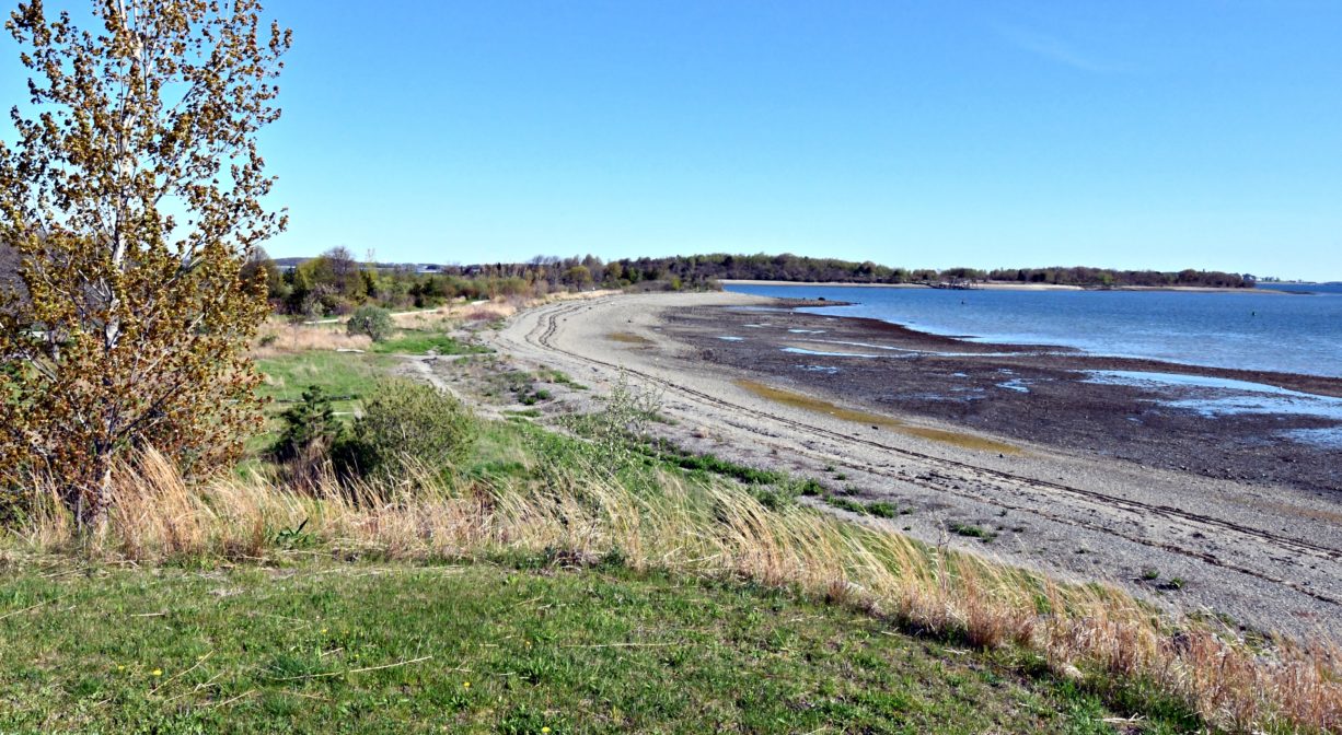 A photograph of a beach with grass in the foreground.