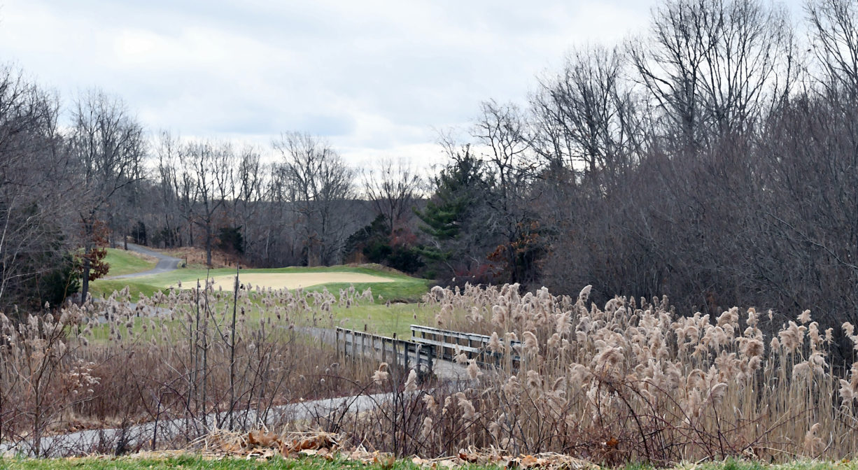 A photograph of a wetland with a paved trail and a bridge, within a golf course.