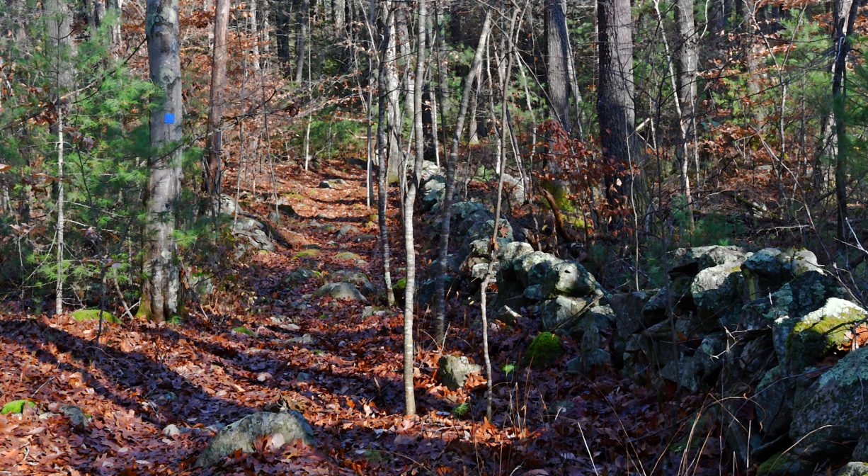 A photograph of a trail alongside an old stone wall.