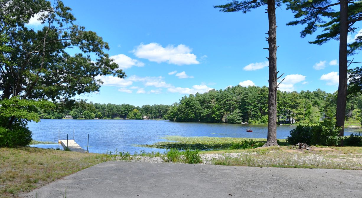 A photograph of a pond with a small beach area and scattered trees.