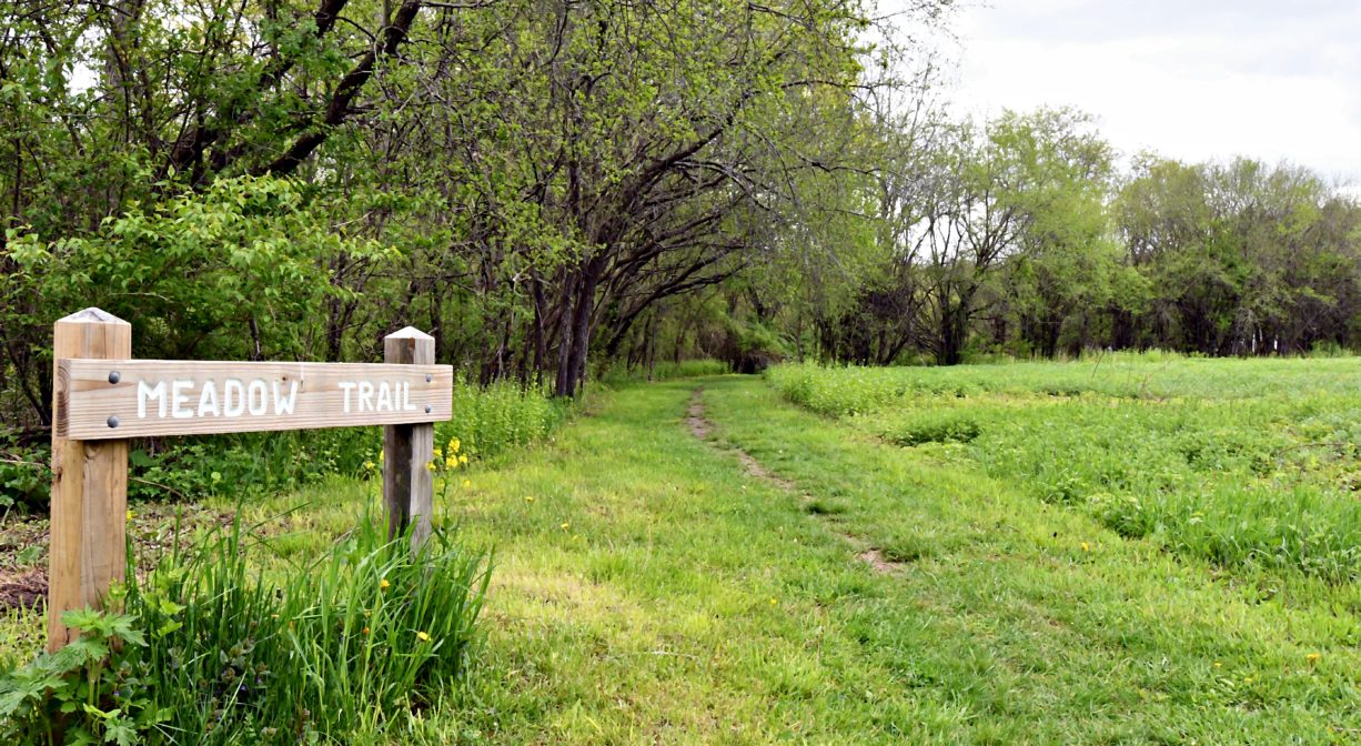 A photograph of a trail through a meadow with a trail sign.